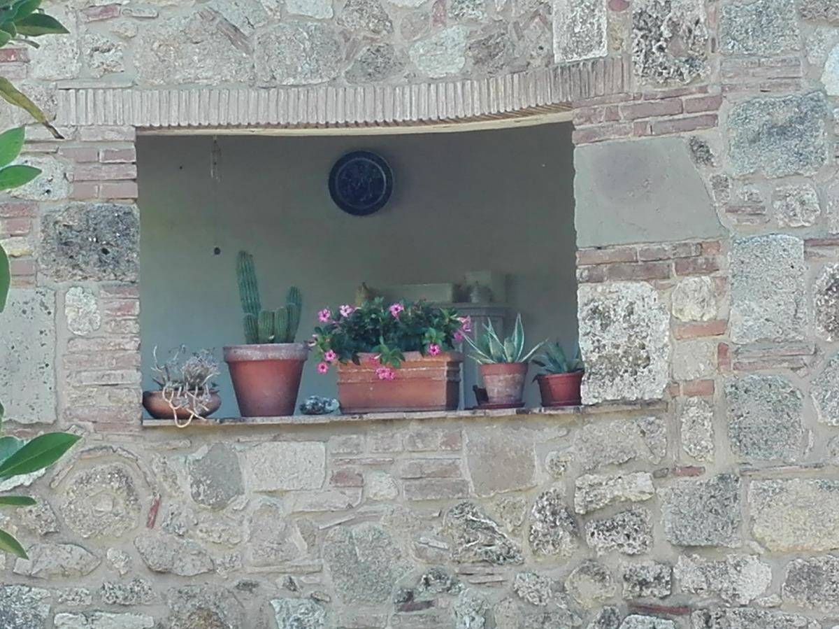  - foto 4