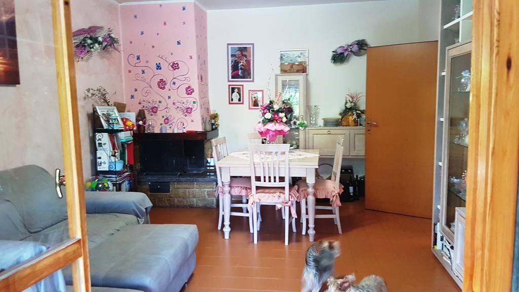  - foto 4
