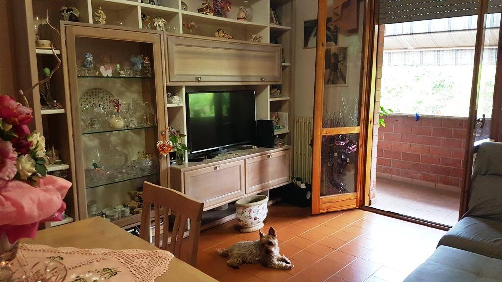  - foto 5