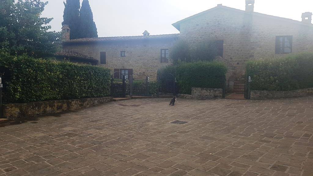 Rustico, Casole d'Elsa
