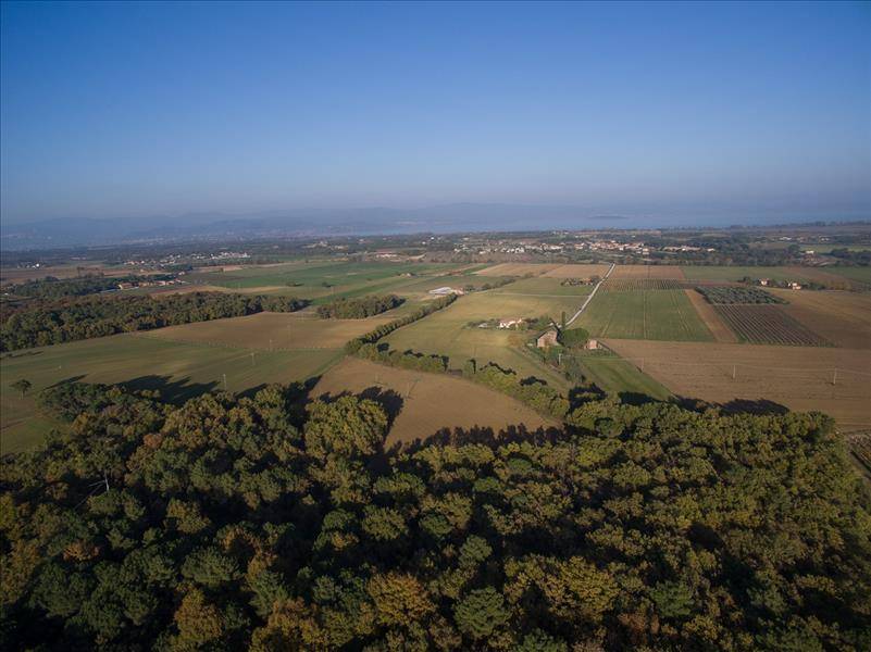 Azienda agricola, Castiglione del Lago