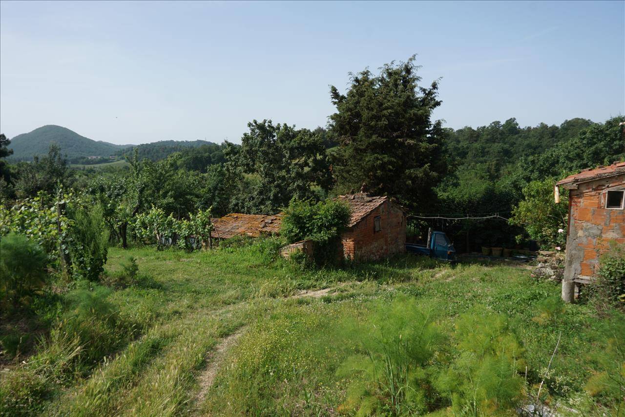 Casale, Trequanda