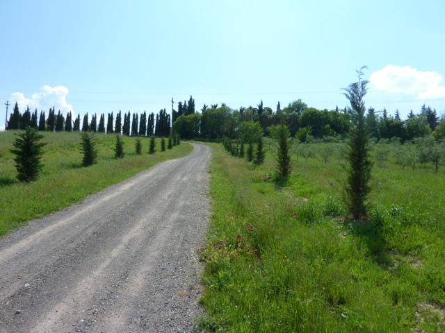  - foto 6