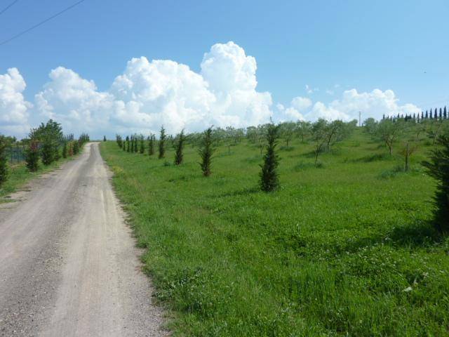  - foto 7