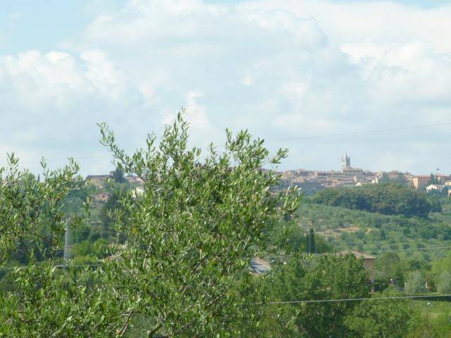  - foto 8