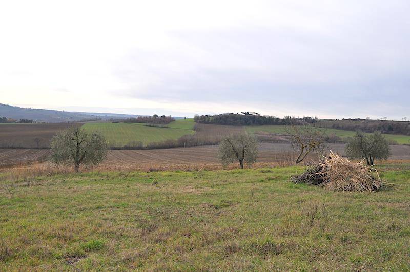 Terreno edificabile, Castiglione del Lago