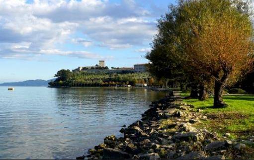 Attività  commerciale, Castiglione del Lago