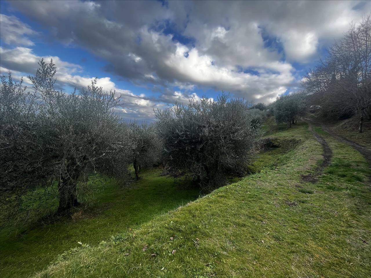  - foto 3