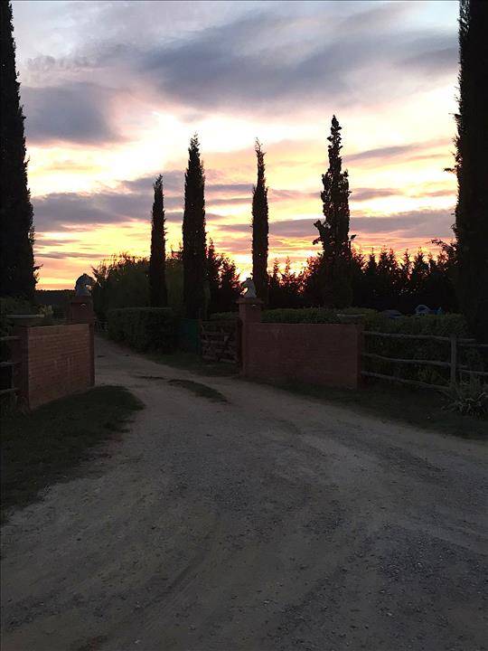 Attività  commerciale, Castiglione del Lago