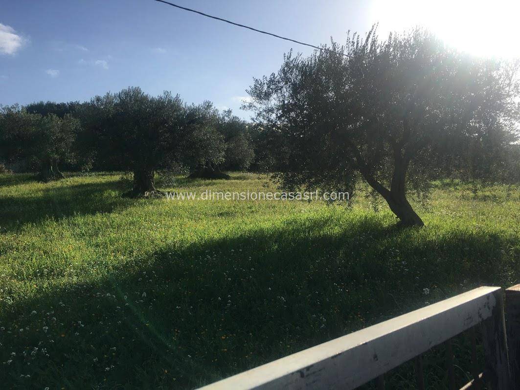 Terreno agricolo, Caltanissetta