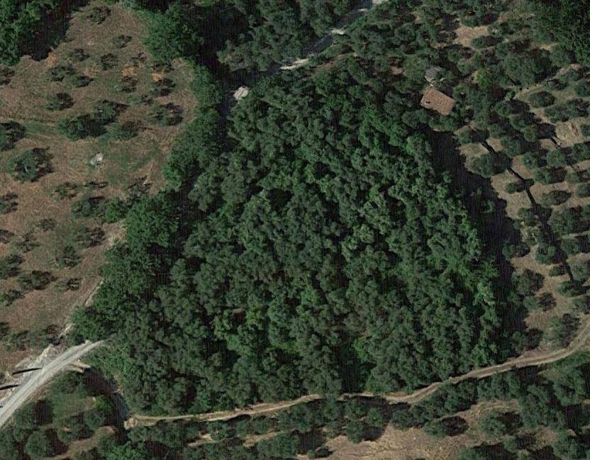 Terreno agricolo, Sarteano