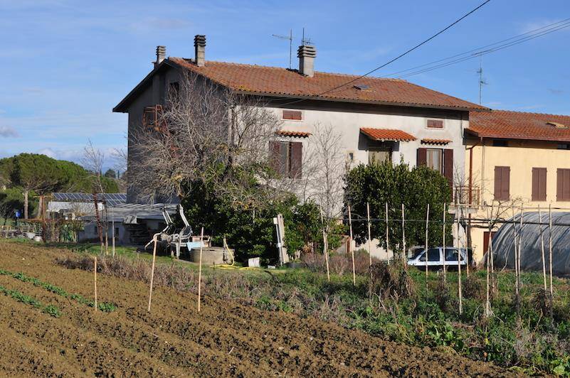 Porzione di casa, Panicale