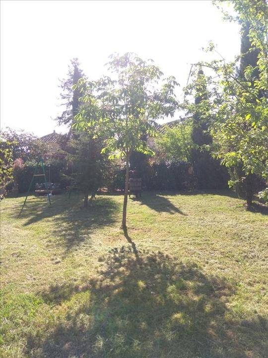  - foto 6