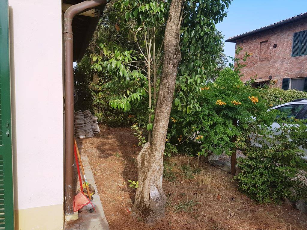  - foto 9