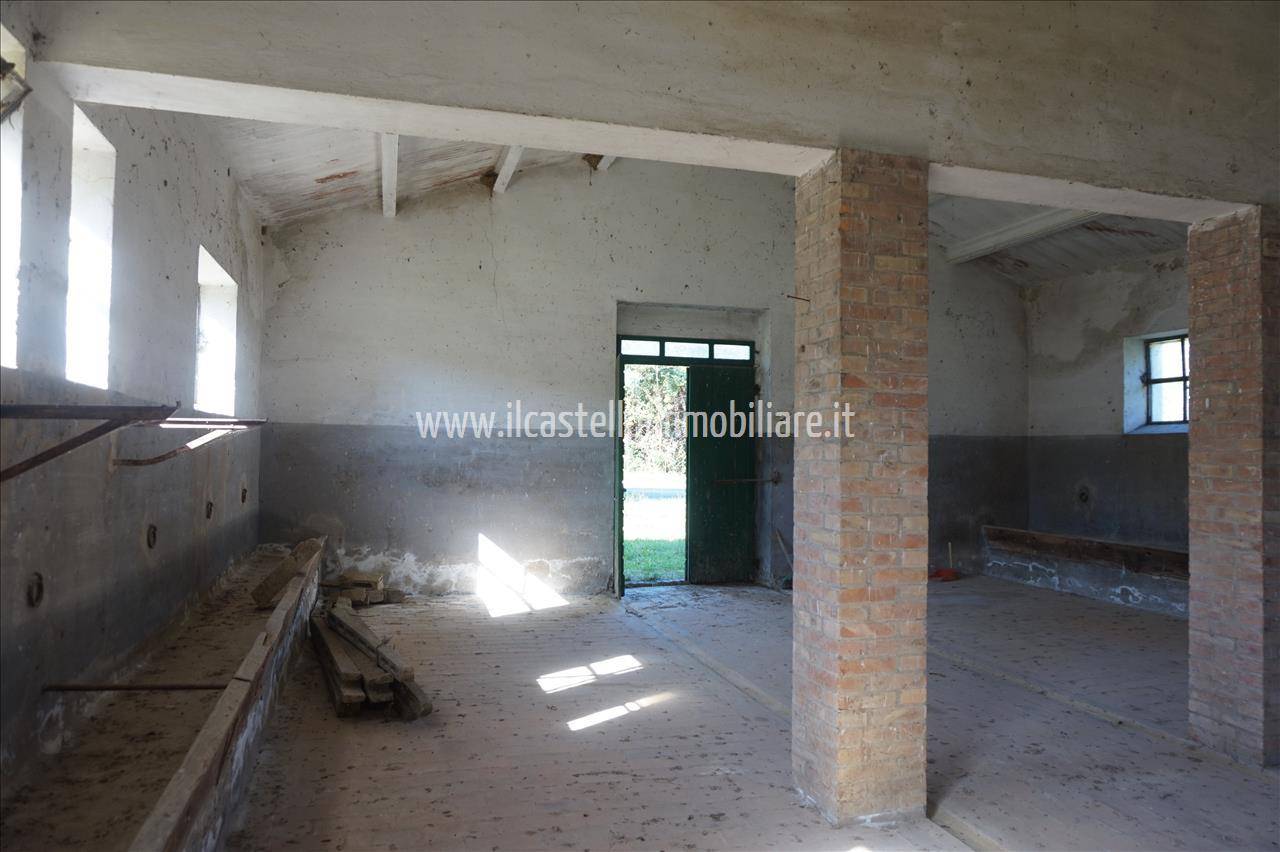  - foto 6