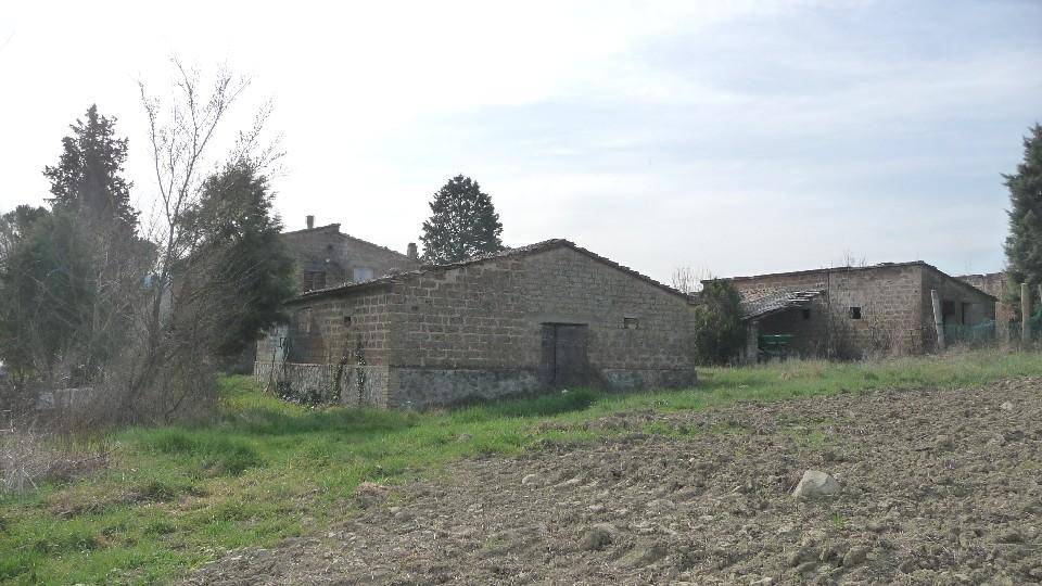 Azienda agricola, Orvieto