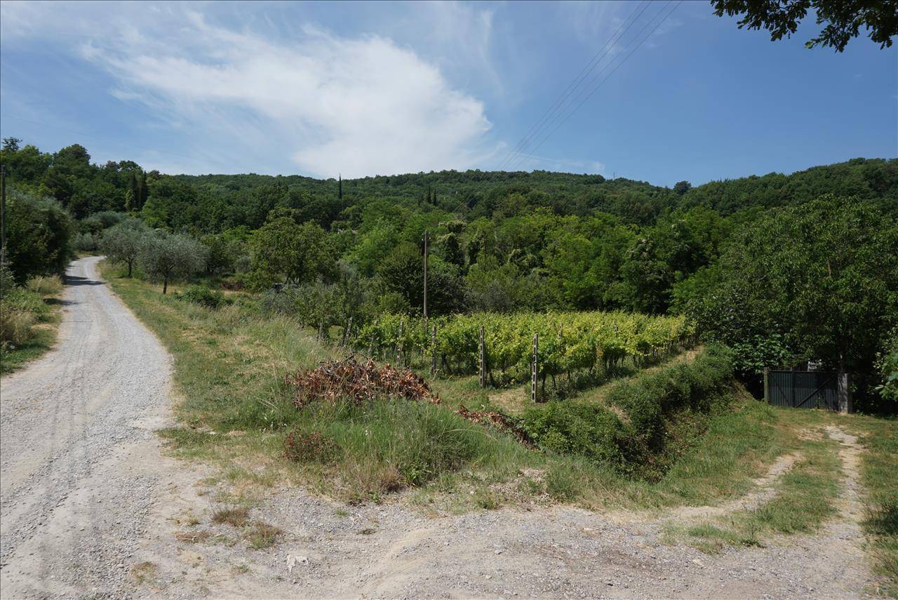 Terreno agricolo, Sarteano