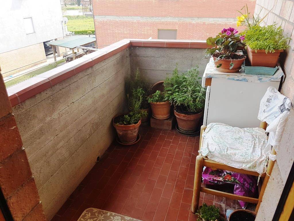  - foto 5