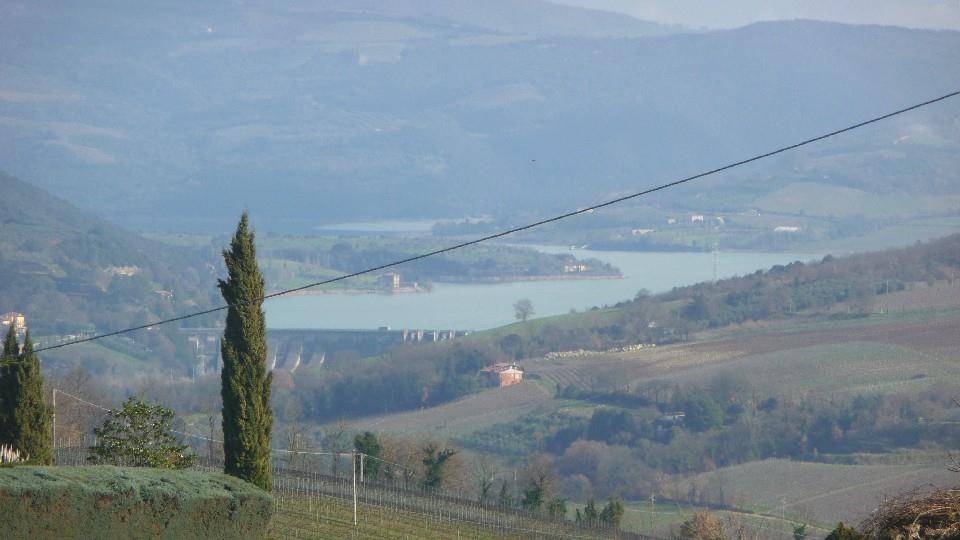  - foto 2