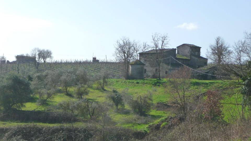  - foto 4