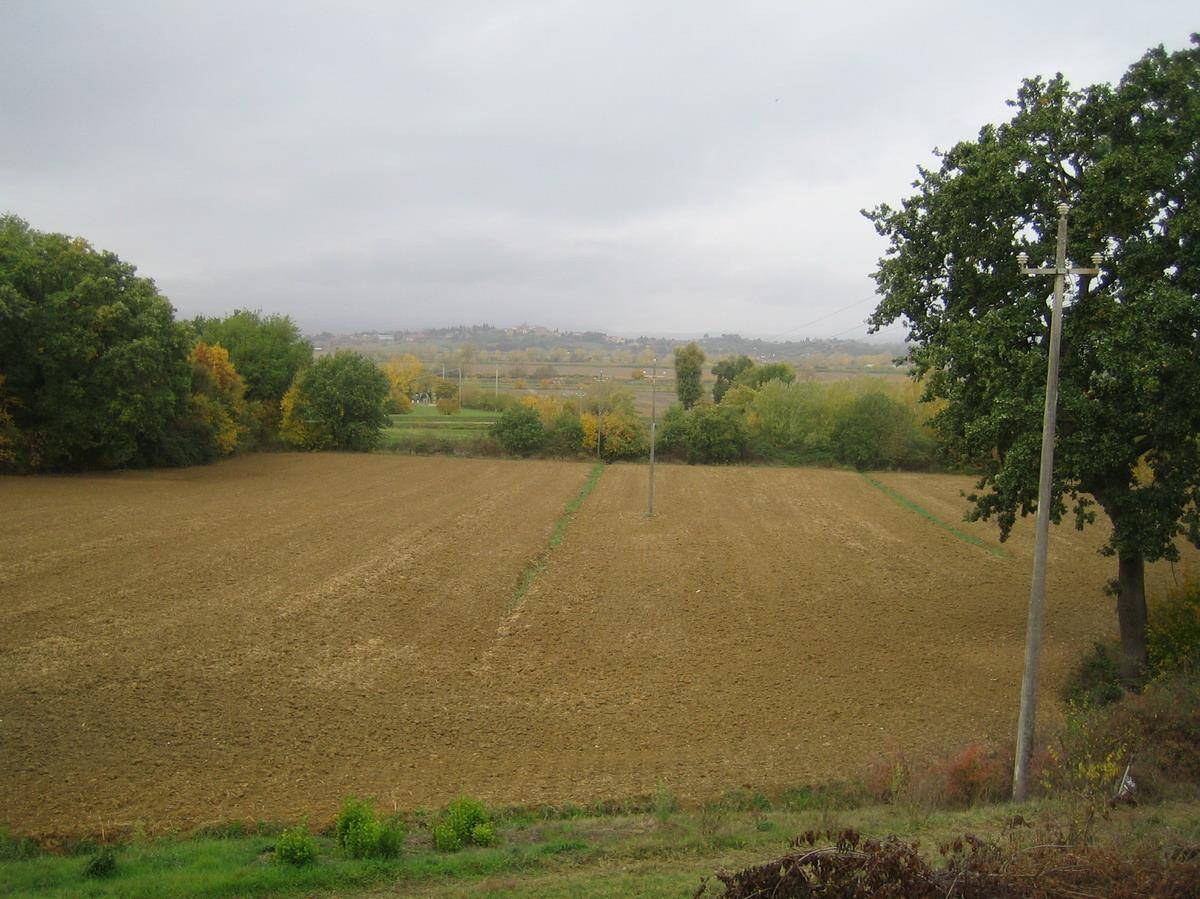  - foto 6