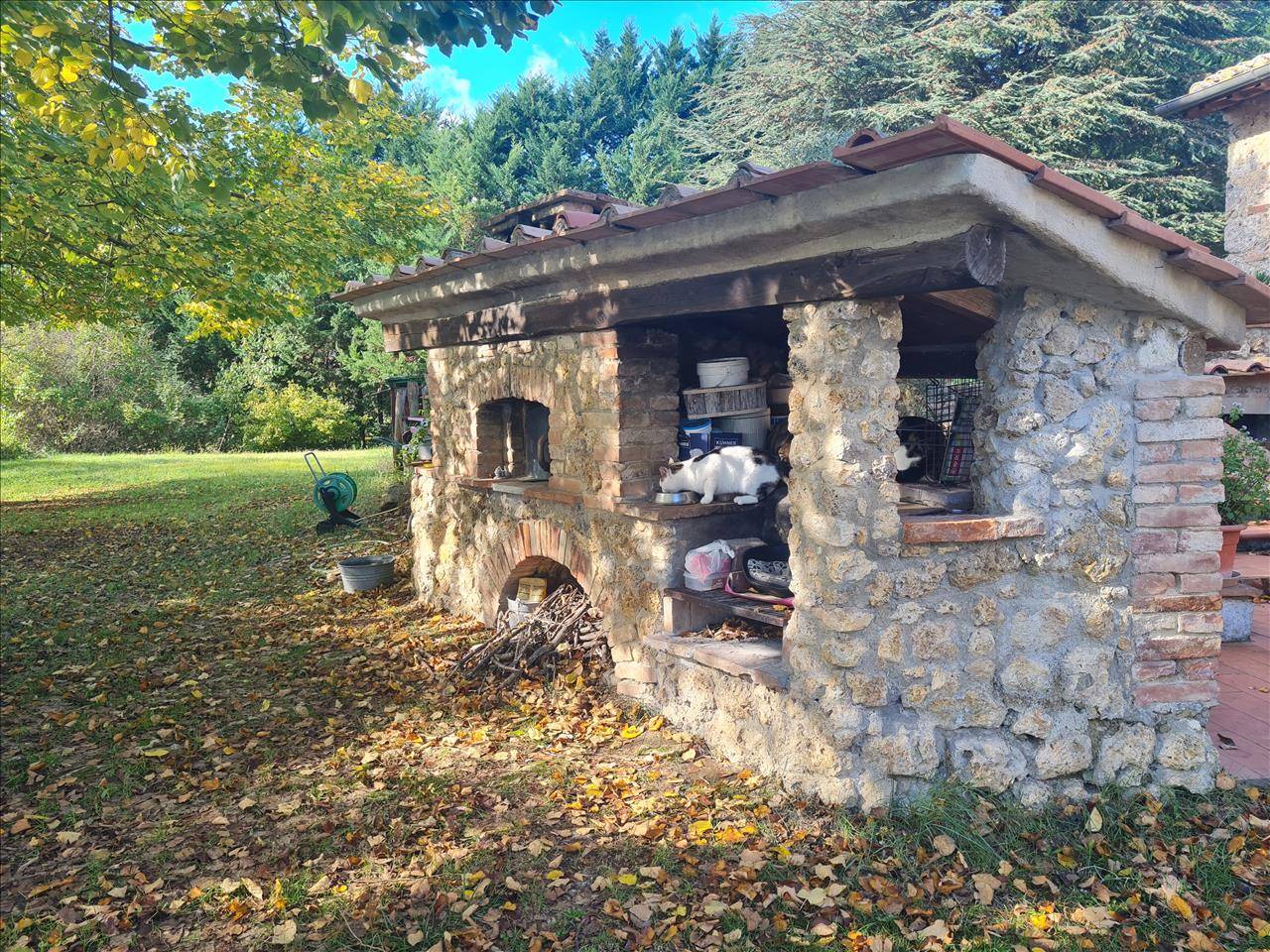  - foto 7