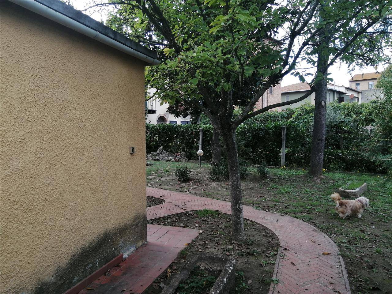  - foto 4
