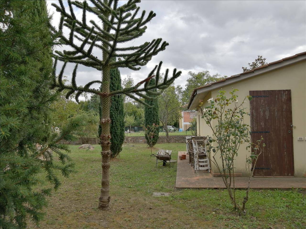  - foto 5
