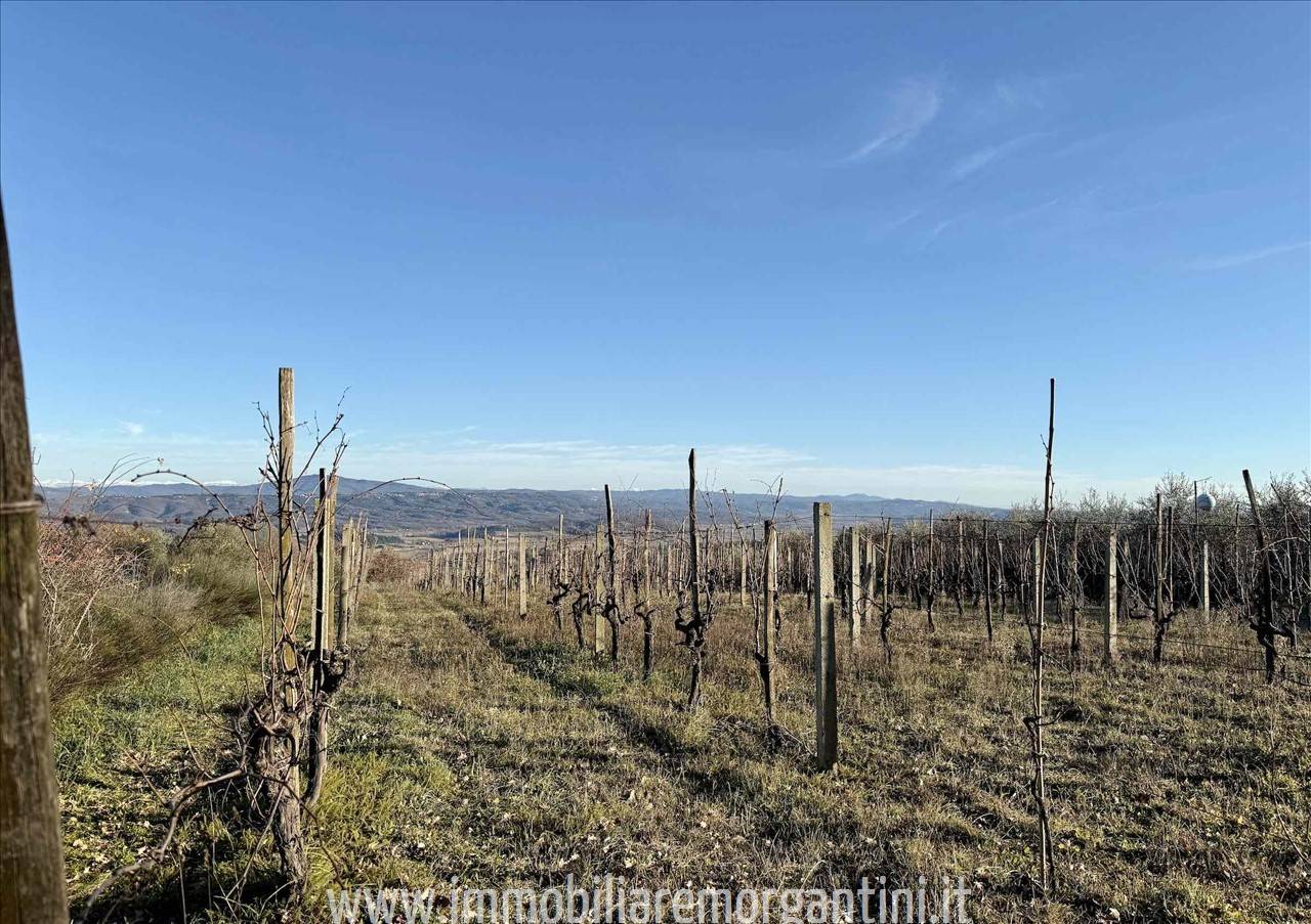 Terreno agricolo, Sarteano