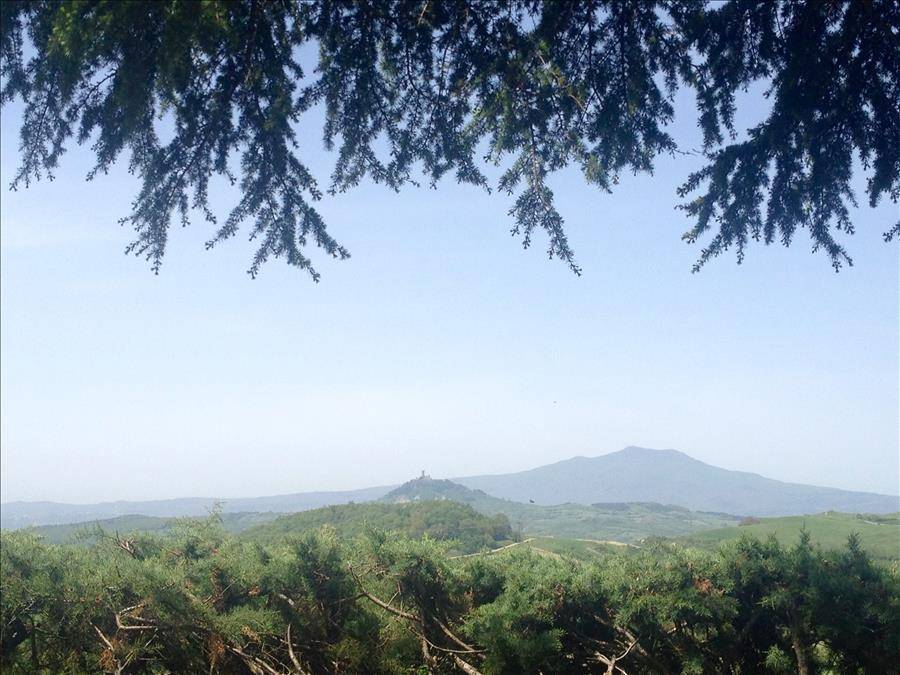 Casale, Radicofani