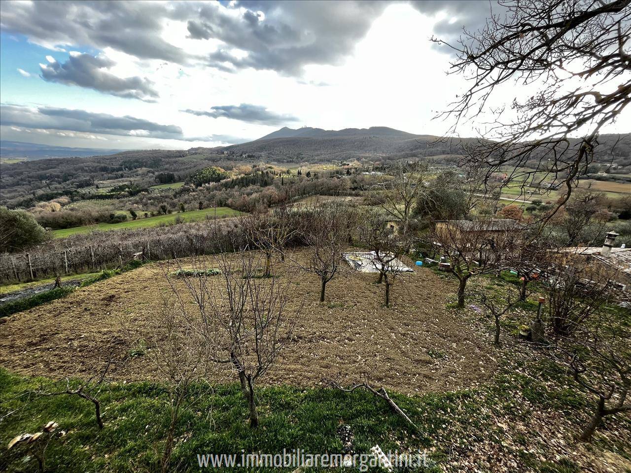 Terreno agricolo, Sarteano
