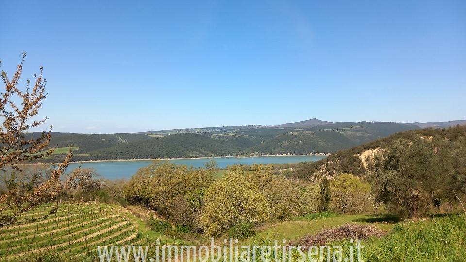  - foto 5