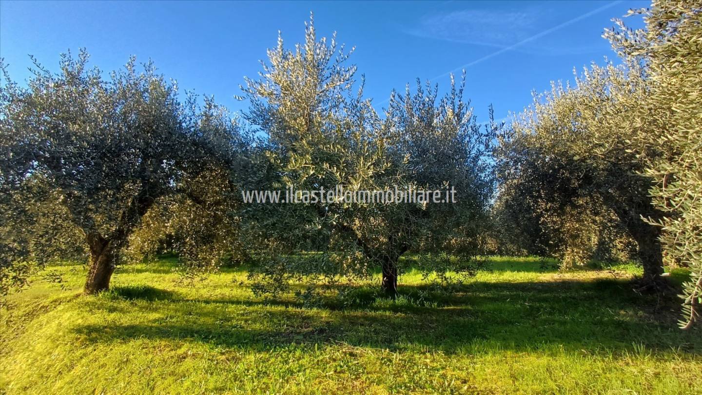 Terreno agricolo, Chiusi