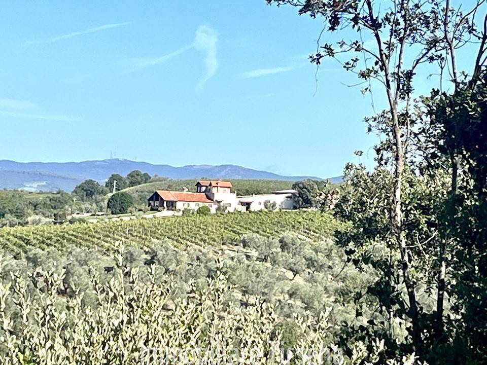 Azienda agricola, Montecchio