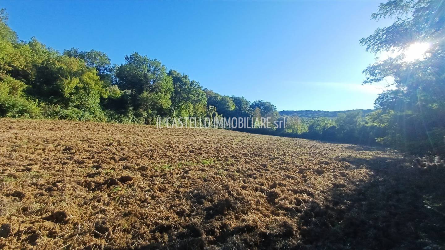 Terreno agricolo, Sarteano