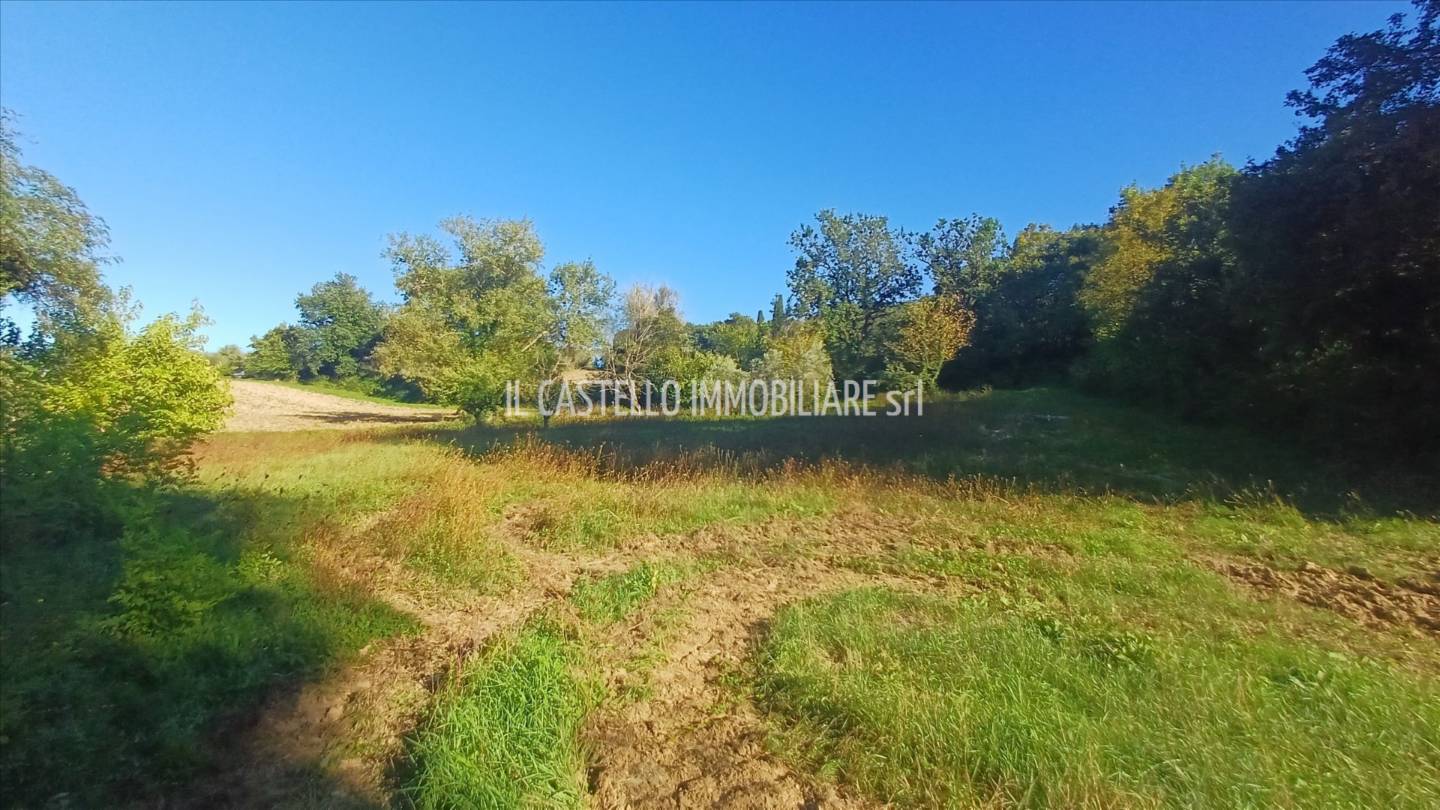  - foto 7