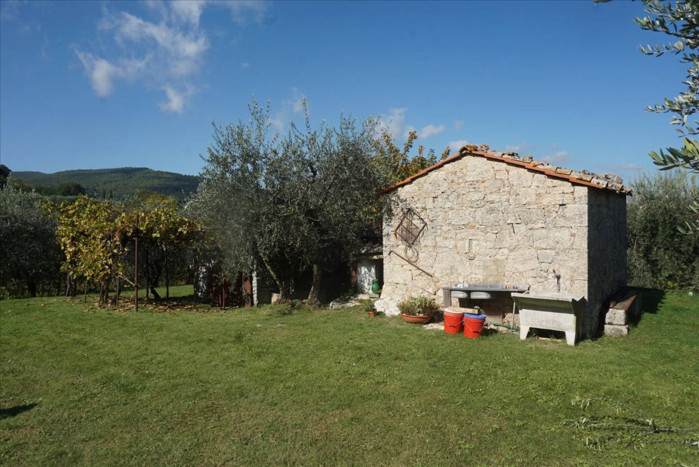 Terreno agricolo, Sarteano