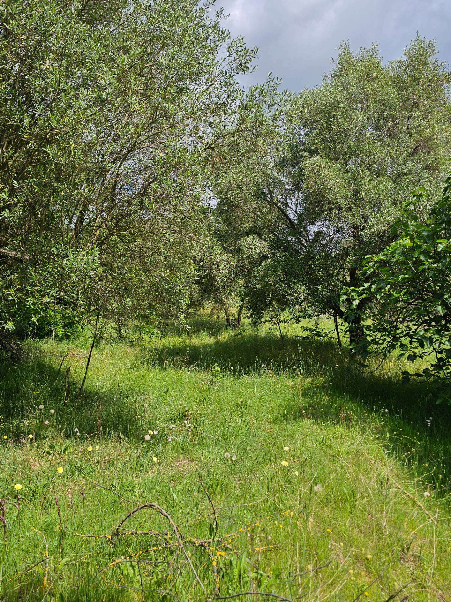  - foto 17