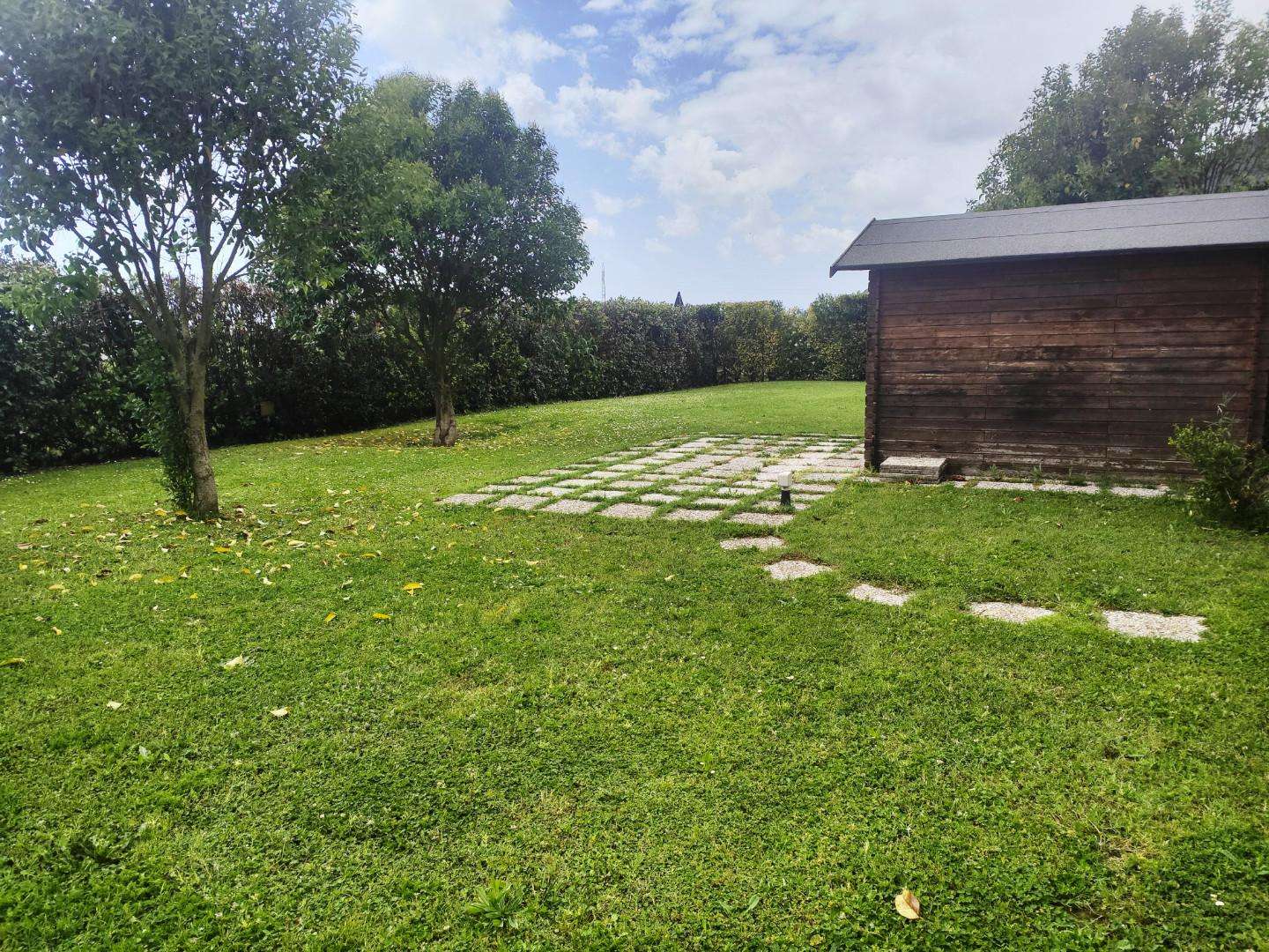  - foto 14
