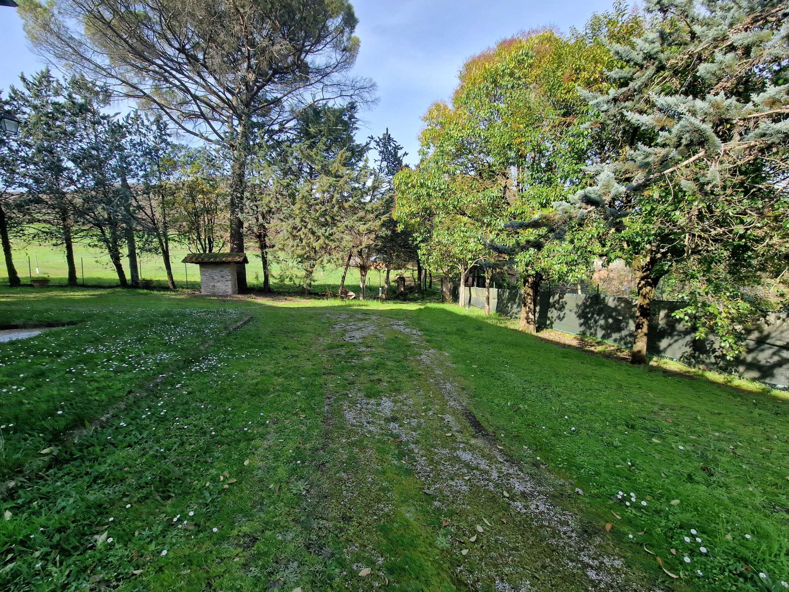  - foto 61