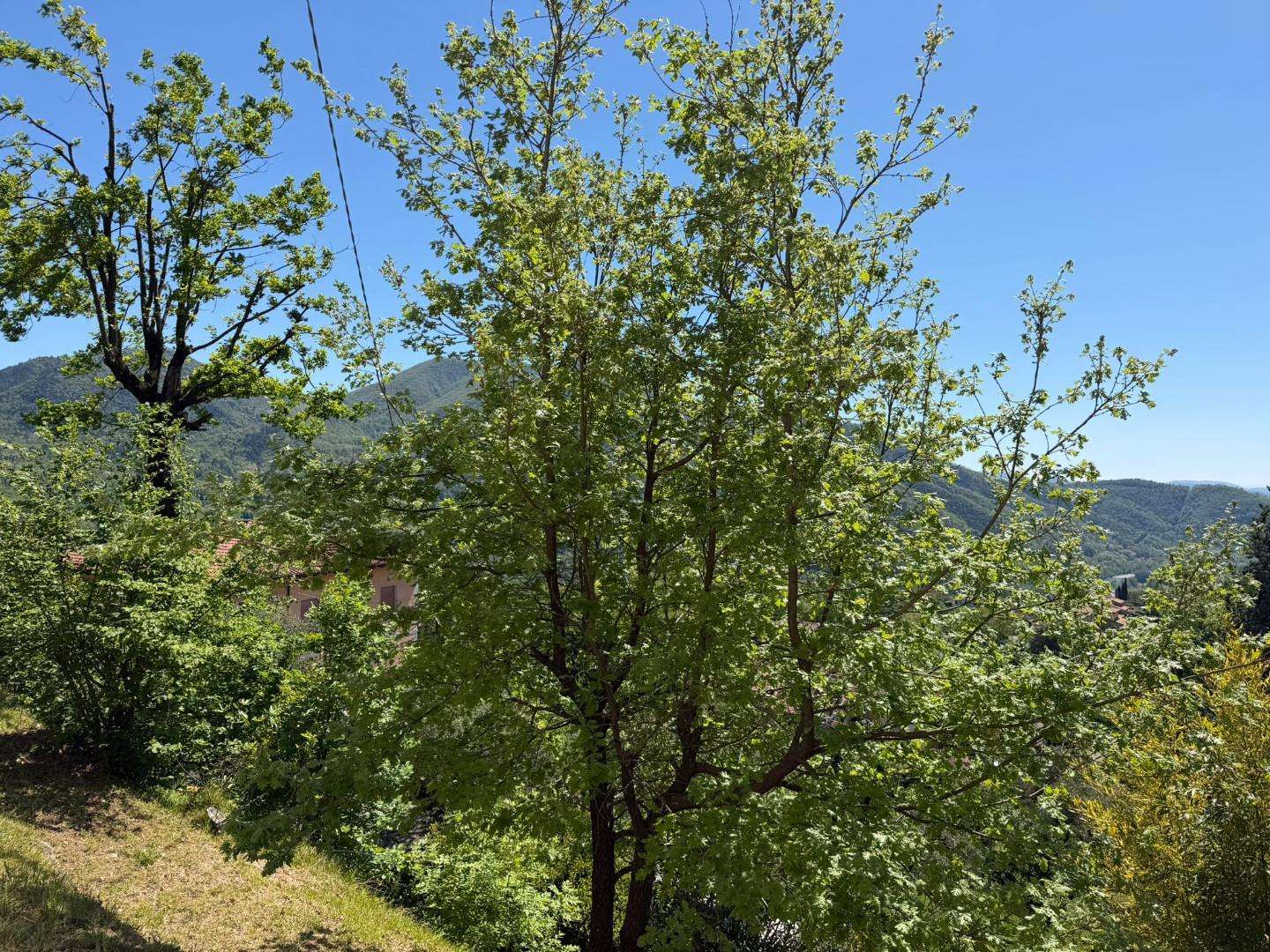  - foto 31