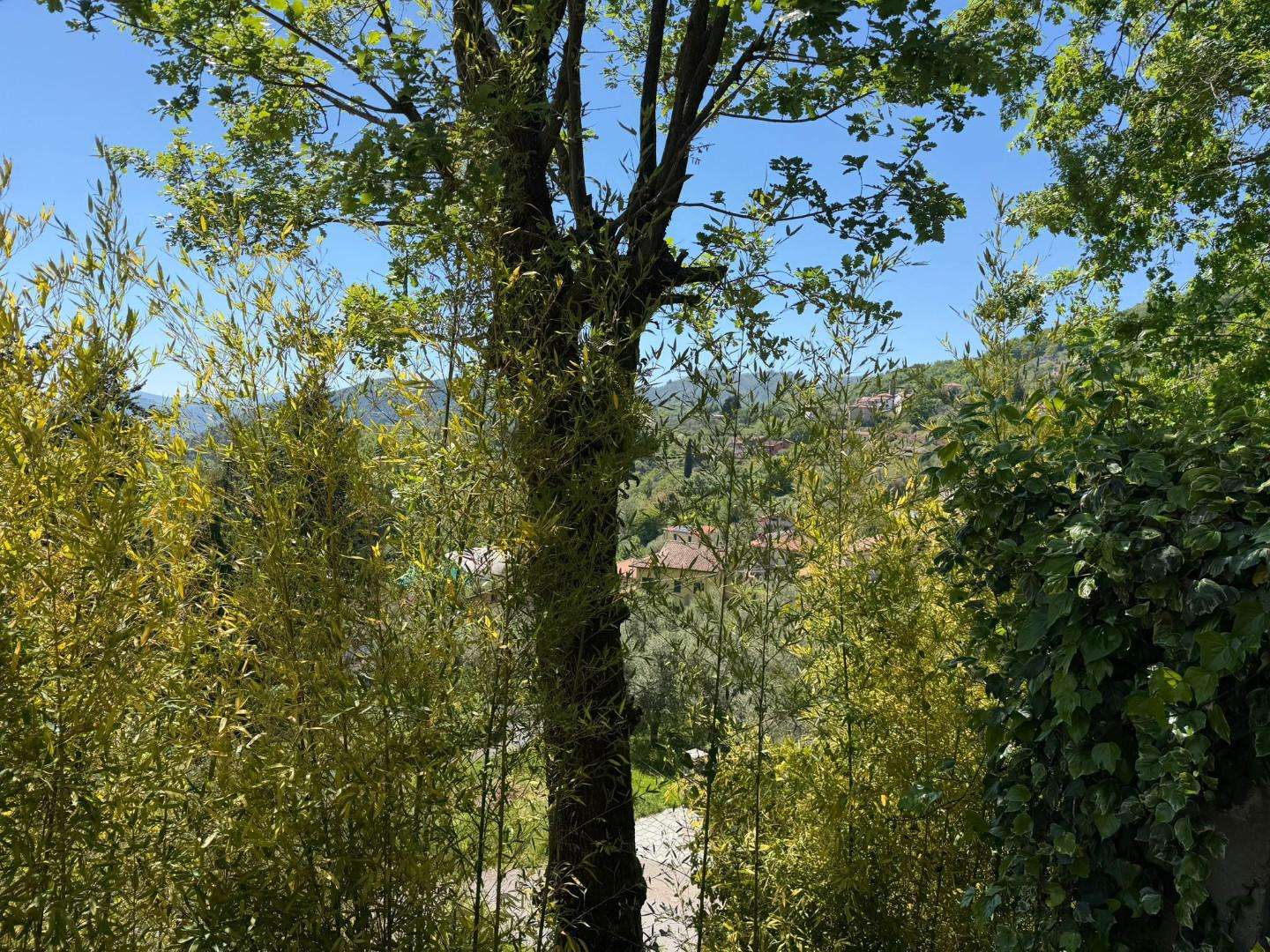  - foto 33