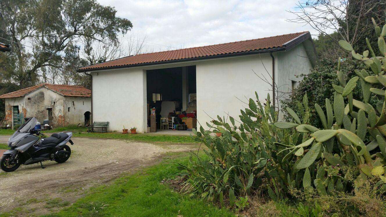  - foto 14