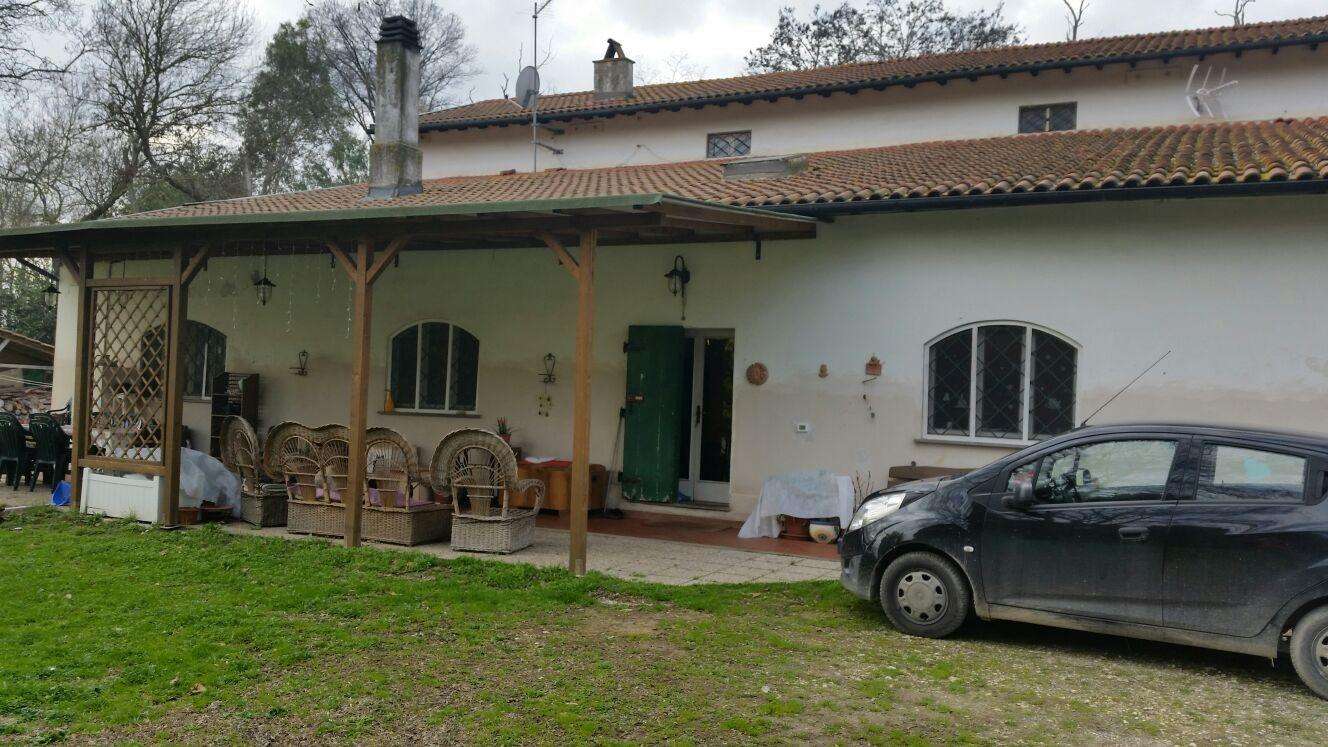  - foto 15