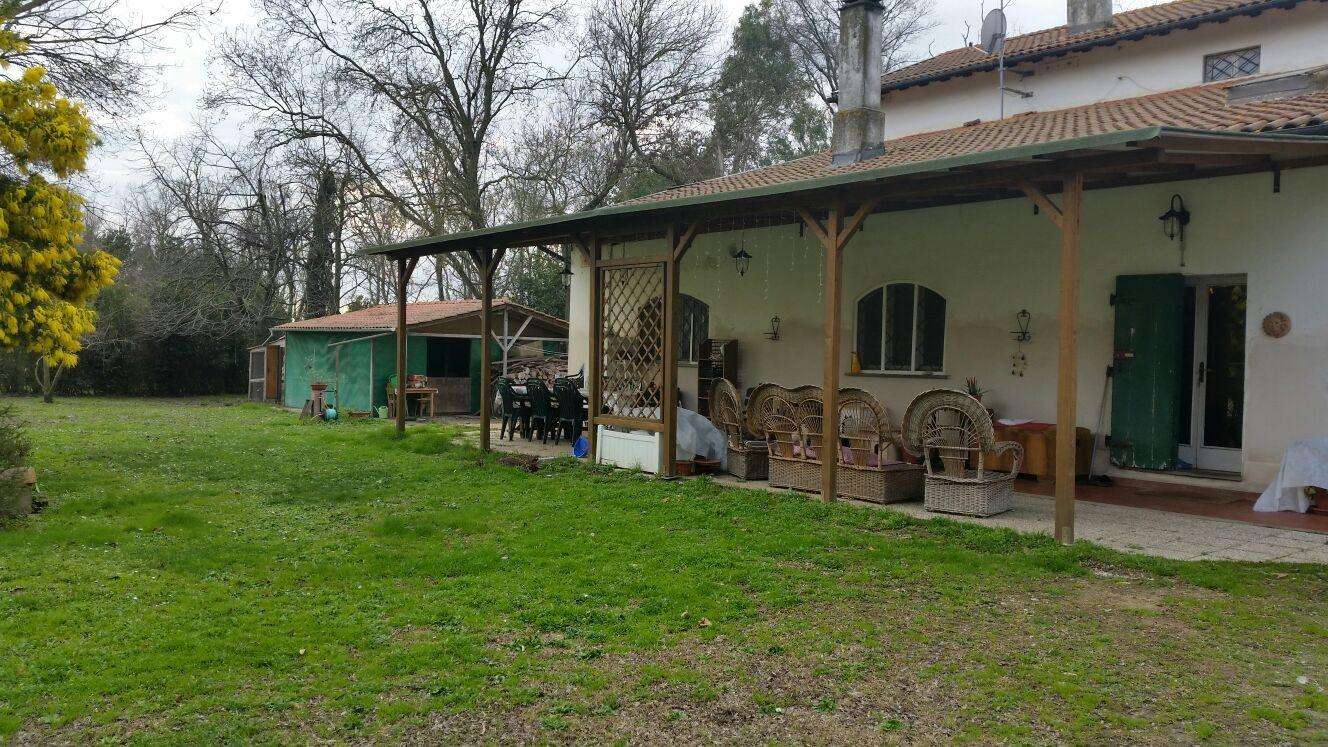  - foto 5