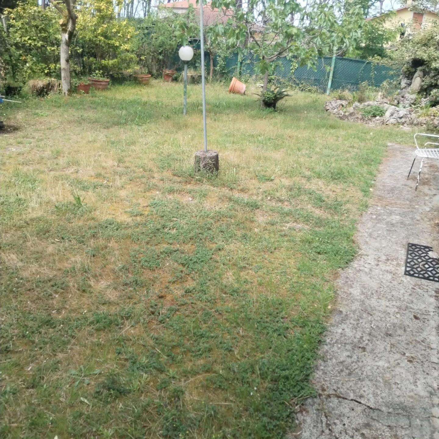  - foto 6