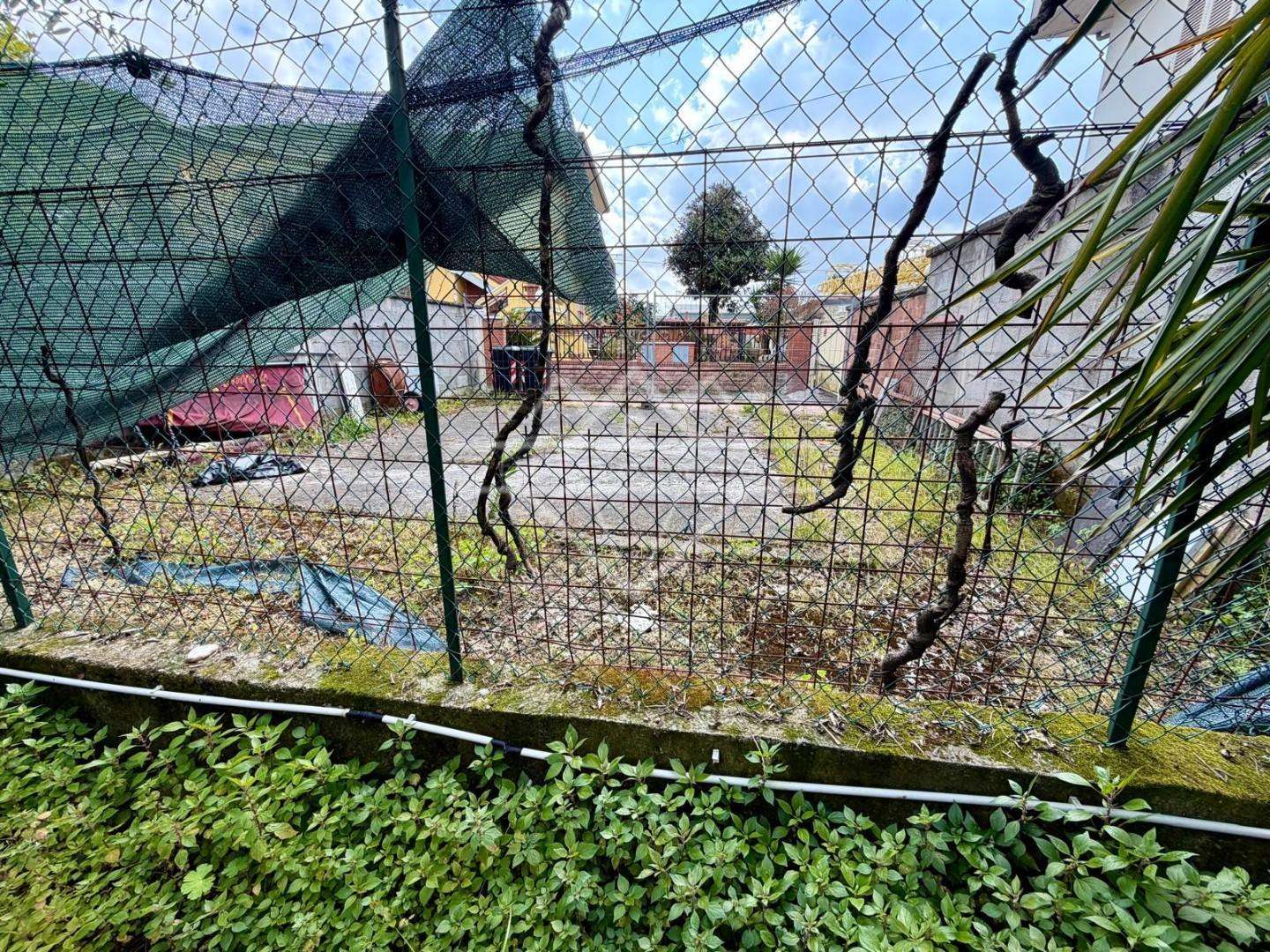  - foto 21