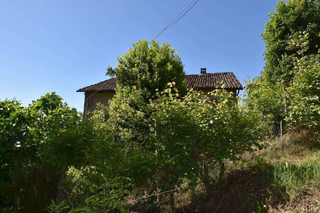 - foto 23