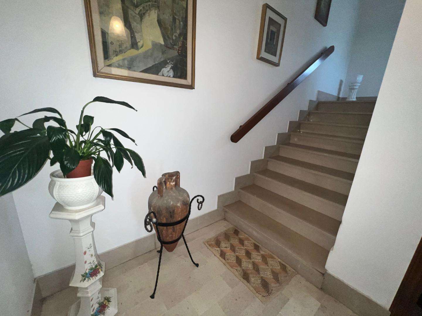  - foto 26