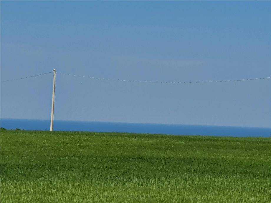  - foto 14
